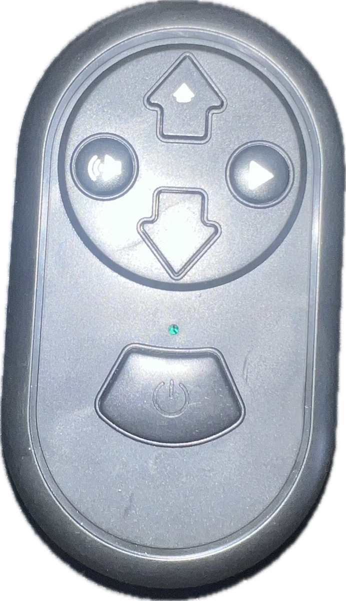 Rapid Raptor Remote Control – Odyssey Toys