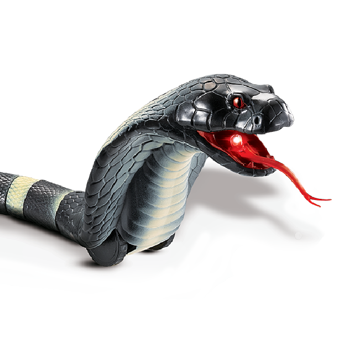 Slithering Snake Slithering Snake